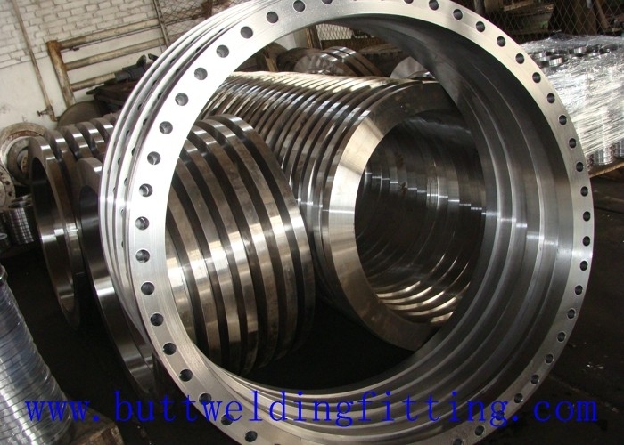 Hot Dip Galvanizing / Epoxy Coating Forged Steel Flanges ASME / ANSI B16.5
