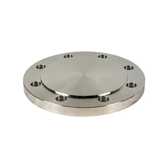 300# 316L Stainless Steel Raised Forged Slip Blind Face Flange