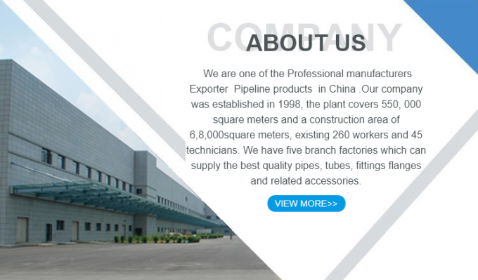 METAL Y&uuml;ksek Kalite 304 Paslanmaz &Ccedil;elik Boru Montajı Katı Kare Baş Plug 1/2/3/4/6 Noktalar NPT1/2 7