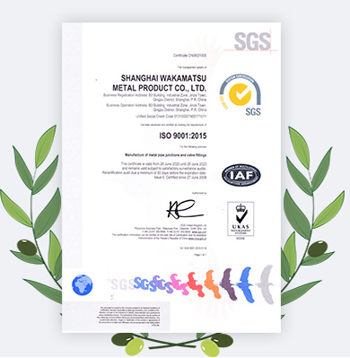 Paslanmaz çelik 6 * 3 NPS Butt kaynak armatürleri Eksantrik redüktör WP316LN 10