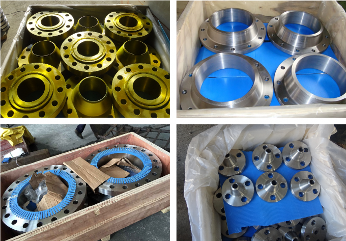 Metal Son Flange ve Uzun Kaynak Boynuz Pe100 SDR11 HDPE Flange Adaptörü Puddle Flange Ücretsiz Örnek 11