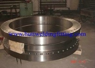 Steel Flange, Incoloy Alloy Steel Flange, ASTM AB564 ,NO8800/ Alloy800, NO8810/ Alloy 800H, NO8811/Alloy 800HT
